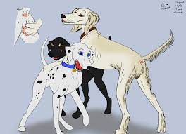 2020 angry animal genitalia animal pussy anus balls bird dog  canid canine canine pussy canis close-up cody (kinaj) collar dalmatian  domestic dog female feral fingering forced genitals group hi