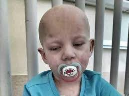 Beata Witek's Instagram, Twitter & Facebook