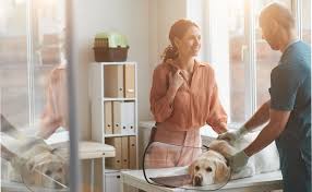 How to Build Trust and Reputation for Your Veterinary Clinic