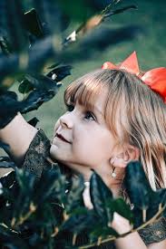 Free Trex deck boards for pickup in Colora