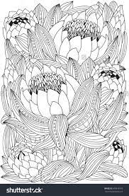 Click here for the roses coloring page. Pin On Zentangles Adult Colouring Coloring Pages