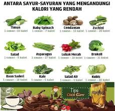 Waktunya panen sayuran di kebun mertua, walaupun hujan2 tetap harus di panen karna sudah besar2 kali & rimbun2 kalo gag. Sayur Sayuran Luff Luffiya Cosmetic Choco Fit Original Facebook