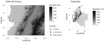 Image result for Indigofera subargentea