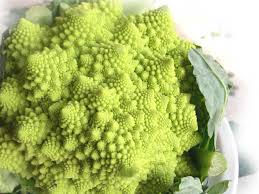 Il broccolo romano (cultivar della b. Broccolo Romanesco O Cavolo Cimoso Usi In Cucina E Curiosita Alimentipedia It