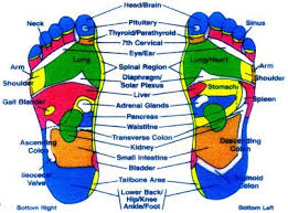 Free Acupuncture Point Diagram Applied Kinesiology Charts