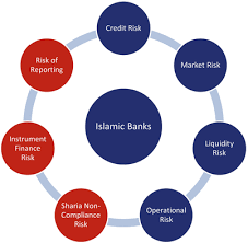But it is still in its early stages and not much has been written about it. Risk Management Methodologies An Empirical Macro Prudential Approach For A Resilient Regulatory Framework For The Islamic Finance Industry Springerlink