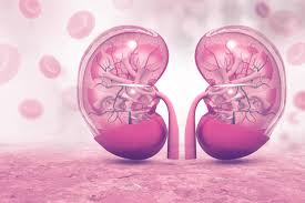 What You Need To Know About Anemia And Kidney Disease Dialysis Patient Citizens Education Center