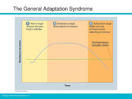 Objectives Understand How Your Body Responds To Stress Ppt Download