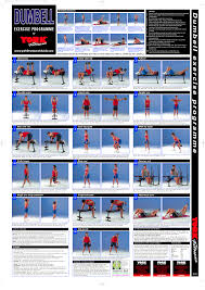 Dumbbell Exercise Chart Pdf Dumbbell Workout Plan Gym
