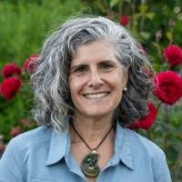 800+ "Stainbrook" profiles