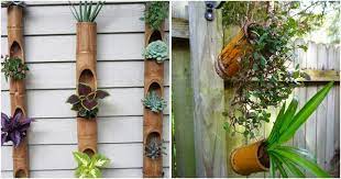 I've attached a pic of what i'm taking about. 13 Beautiful Diy Bamboo Planter Ideas