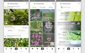 Blätter, blüten u.a.) und so die art. Pflanzen App 3 Kostenlose Apps Um Pflanzen Zu Bestimmen