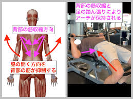 ベンチ プレス 背中 痛み