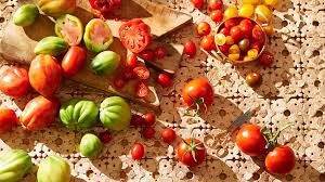 How To Grow Tomatoes Sbs Food
