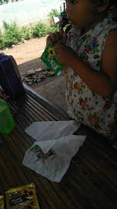 Kondisi ini bisa terjadi akibat tubuh menghasilkan terlalu banyak asam urat atau fungsi ginjal dalam membuang asam urat tidak bekerja dengan baik, sehingga membuat kadar asam urat dalam darah terlalu tinggi. Kwaci Bunga Matahari Steemit