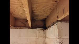 Want to know how to fix and prevent a leaking basement? Basement Water Leaks Can Come From Above Home Repair Advice Youtube