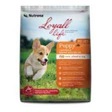 Purchase Nutrena Dog Food Retailers Up To 68 Off