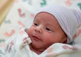 Lifecycles for the week of Dec. 21, 2018