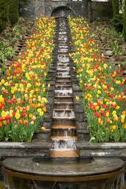 Ein Tag Im Paradies Die Blumeninsel Mainau Im Bodensee Insel Mainau Insel Mainau Island