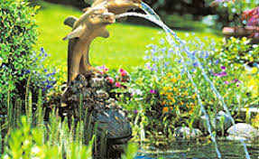 Deko Ideen Fur Den Gartenteich Gartenteich Teichlandschafts Wasser Im Garten