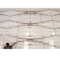 Spider Marble Tiles - Elegant Natural Stone Designs
