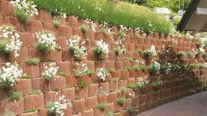 Pflanzringe Pflanzen Boschungssteine Garten Gestalten