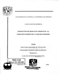 Repositorio Institucional de la UNAM