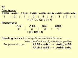 To do the next cross and. Principles Of Heredity Mendelian Laws Marie Cerna Lecture No 403 Heredity Ppt Download