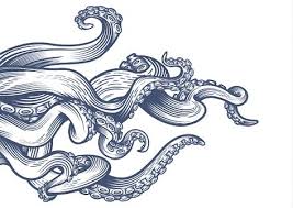 / riesenkalmar has no activity yet for this period.посмотрите твиты по теме «#riesenkalmar» в твитте. 35 Octopus Ideas In 2021 Zwgrafikh Xtapodi Tatoyaz
