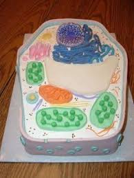 Check spelling or type a new query. 12 Best Plant Cell Cake Ideas Plant Cell Plant Cell Cake Cells Project