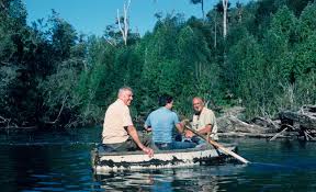 Image result for Rhaptopetalum evrardii