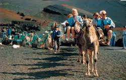 It goes through dusty slopes and palm this area of gran canaria is a bit sparse, with cacti and dry bushes lining the way just like you know it that's exactly how you pictured riding in gran canaria. Travel By Camel In The Canary Islands