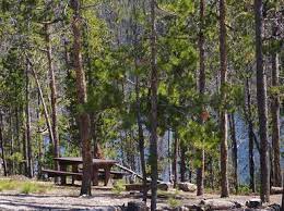 Stanley lake campground itself is part reserved camping in the older section, closest to the lake, and part a first. Stanley Lake Campground Sawtooth National Forest Recreation Gov