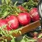 Madera Pomegranate, Fruit & Nut Festival