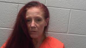 Elkins woman arrested