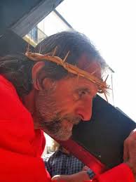 Il Cedro fra Sacro e Profano