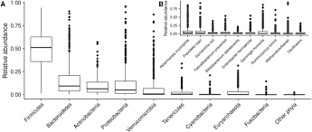 What is the chemical composition of stars?. Gut Microbiota Is Associated With Obesity And Cardiometabolic Disease In A Population In The Midst Of Westernization Scientific Reports