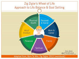 Brand Consultation Wheel Of Life Goal Setting Life