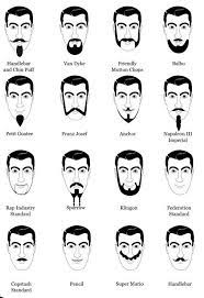 Beards 2