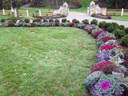 Becker Landscape Fall Decor Cabbage Kale Mums Landscape Curbing Diy Landscaping Mulch Landscaping