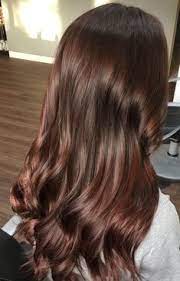 Chestnut brown hair is a combination of the boldness and warmth of reds and the natural tones of browns. 16 Best Dark Chestnut Brown Hair Ideas Hair Brown Hair Colors Hair Styles