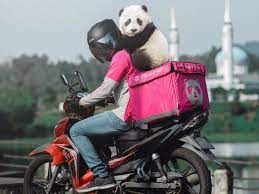 I have made new friends regardless of race, religion, age and we deliver together like family. Foodpanda Rider With Panda Foodpanda Rider Takes Panda With Him On Last Day Of Work Adorable Pictures Go Viral Trending Viral News