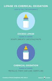 Breast Milk Smells Gross Lipase Vs Chemical Oxidation Pregnant Chicken