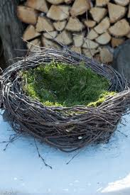 Sobald der schnee geschmolzen ist, kann man sich mit dem kind bei einem spaziergang im wald auf kinder können auch mehrere osternester zum verschenken basteln und die aufzucht des katzengrases übernehmen. Osternest Aus Birkentreisig Blog Www Montebarca Ch Eli Pfaff In 2021 Osternest Basteln Zweige Ostern Deko Basteln Fruhling Ostern