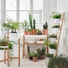 Plantas colgantes, el regreso del macramé. Ideas Para Decorar Tu Casa Con Plantas De Interior