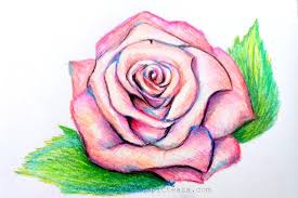 Un peisaj cu trandafiri in creion : Trandafir Desen Cu Creioane Colorate Video Cristina Picteaza