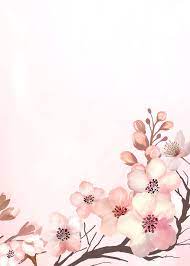Download Premium Illustration Of Hand Drawn Cherry Blossoms On A Pink Cherry Blossom Background Pink Background Flower Illustration