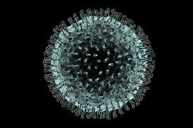 Unsere anbieter im juli für sie bewertet. St Genevive Health Care Services Inc Passion Commitment And Sensitivity