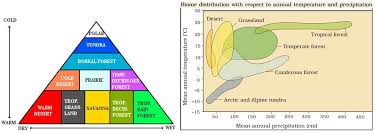 biomes or terrestrial ecosystems and aquatic ecosystems