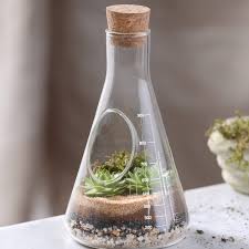 Chemistry Terrarium Kit With Mini People By The Little Boys Room Notonthehighstreet Com